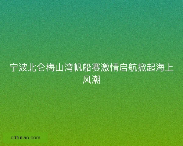 宁波北仑梅山湾帆船赛激情启航掀起海上风潮